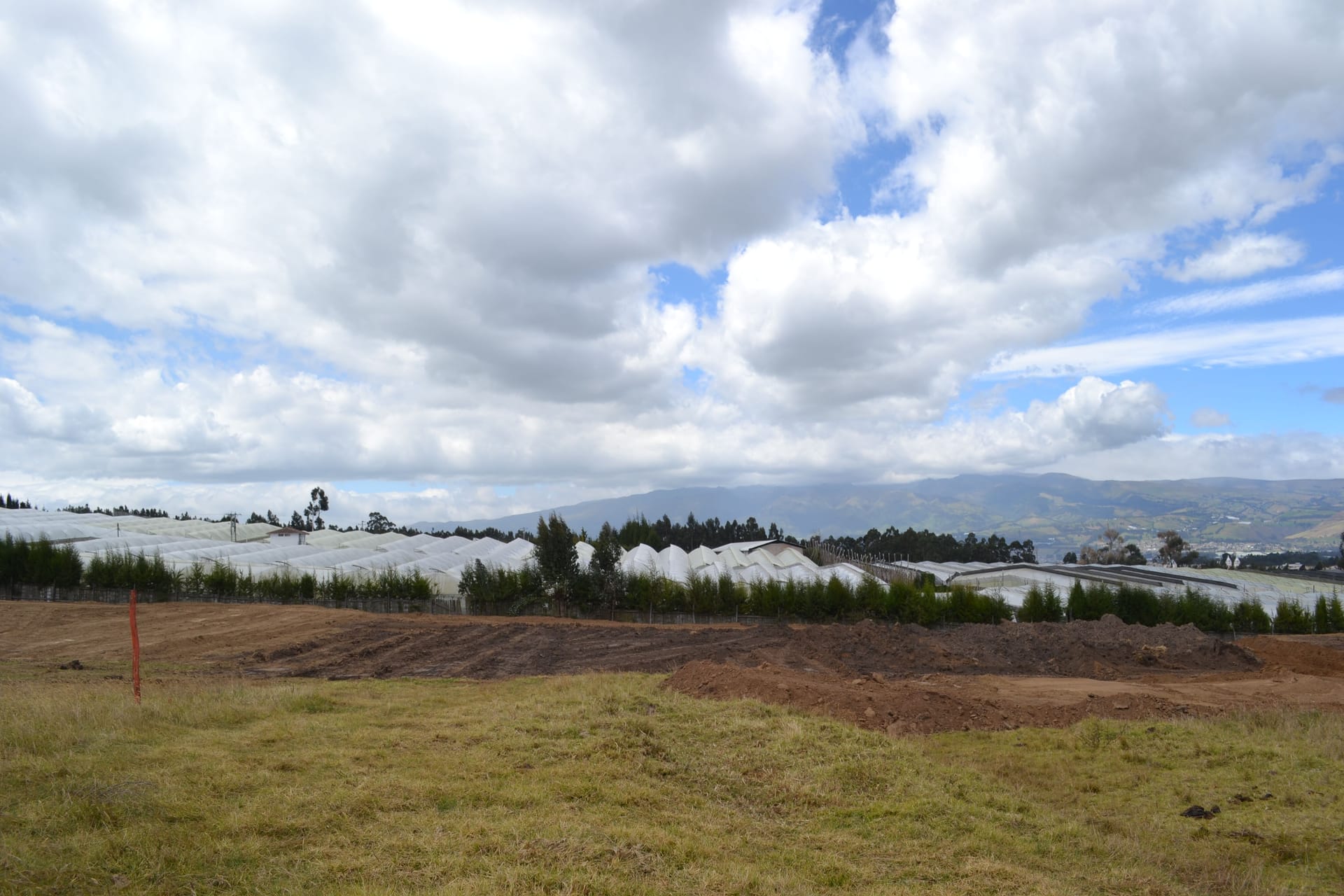 Cayambe rose farm at 3,200m altitude with Andes mountains backdrop - Magnaflor wholesale roses from Ecuador