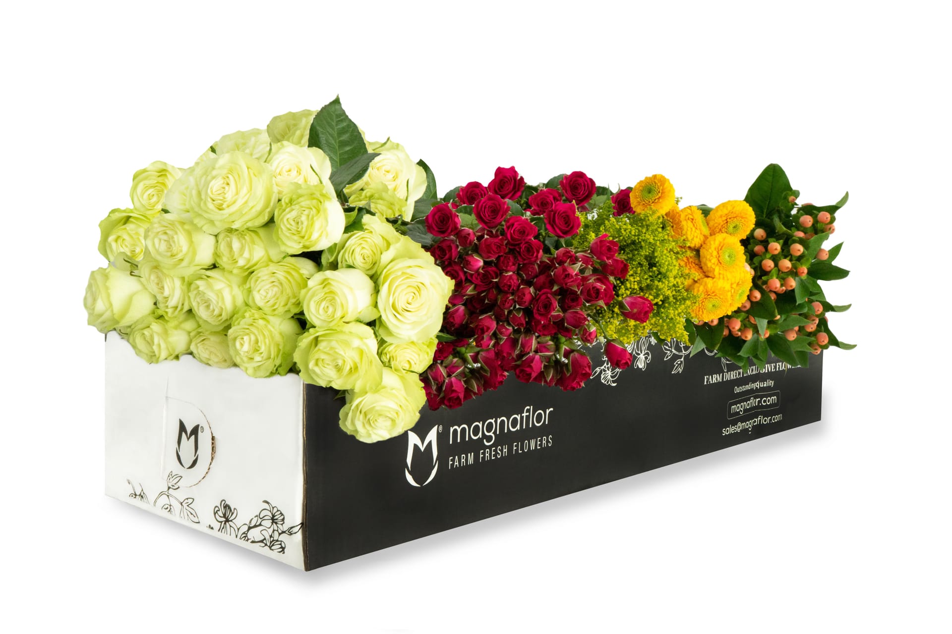 Modelo híbrido Magnaflor - cultivadores socios curados en tierras altas Ecuador y Colombia, un solo proveedor para todo